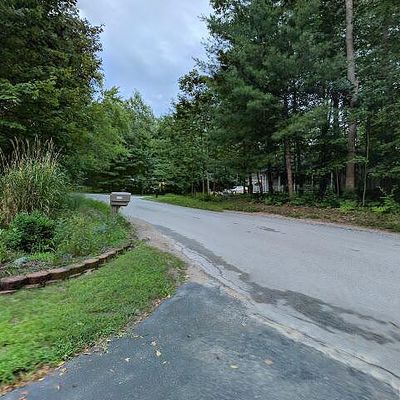 0 Fox Squirrel Ln, Canadian Lakes, MI 49346