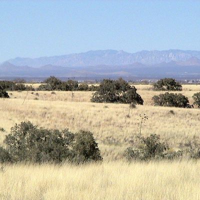 Lot 46, Hereford, AZ 85615