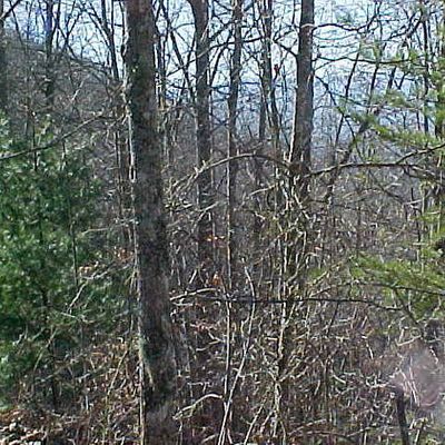 Lot 13 Silver Ridge, Franklin, NC 28744