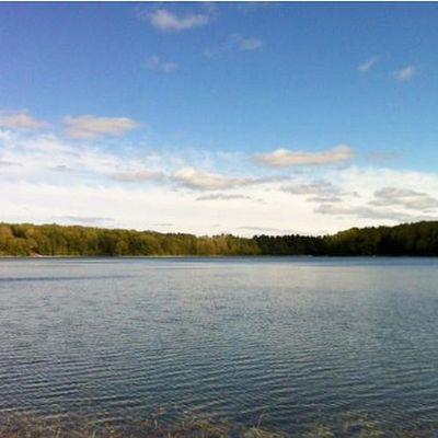 10.9 Acres   Vacant Waterfront Property   2085 W. Martin Lake Road, Gaylord, MI 49735