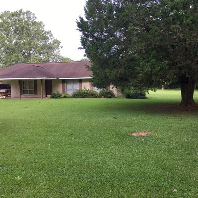 29663 S Satsuma Rd, Livingston, LA 70754