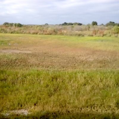 Corner Of Firetower Road And Hickory Road, Piercetown Community, Williamston, SC 29697