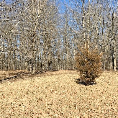 Lot 138, Danvers, IL 61732