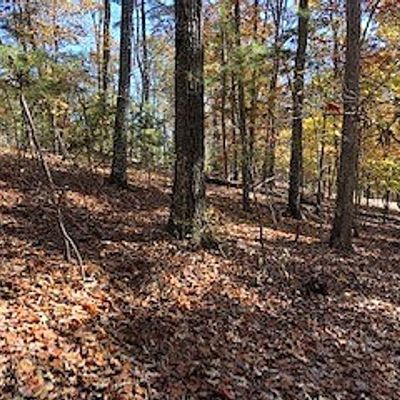 Lot 328, Lake Lure, NC 28746