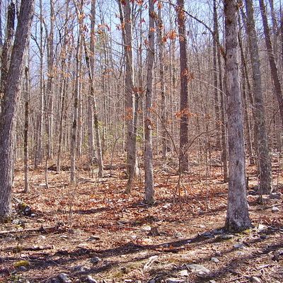 Lot 73, Laurel Lane, Marble, NC 28905