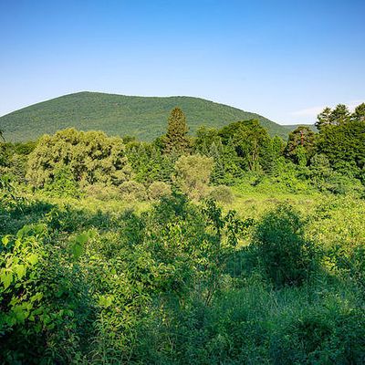 Lot 1 Salter Hill Road, Arlington, VT 05250