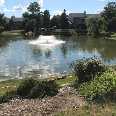 6519 Maple Lakes Ct, West Bloomfield, MI 48322