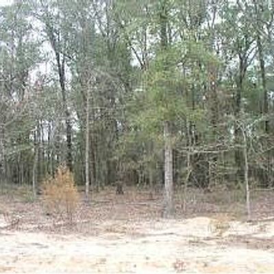 119 Ridge Pointe Drive, Lot 10, Waynesboro, GA 30830