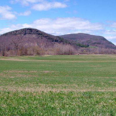 100 Acres Farm Land Catskills Mountains Ny Schoharie County Clauverwie Road, Middleburgh, NY 12122