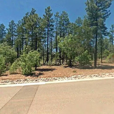 2554 S Timber Pine Ln, Pinetop, AZ 85935