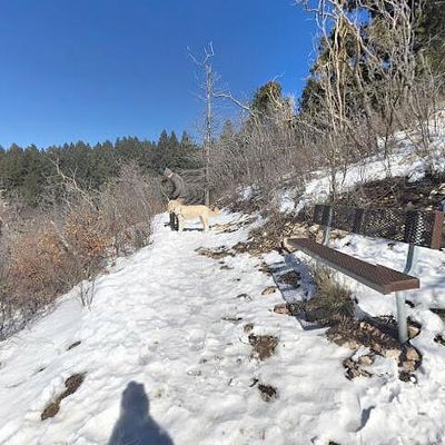 239 Anders Rd, Cloudcroft, NM 88317