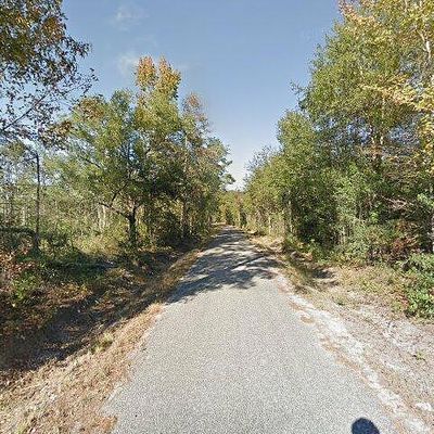 3 Sam Smart Rd Parcel 3, Clyo, GA 31303