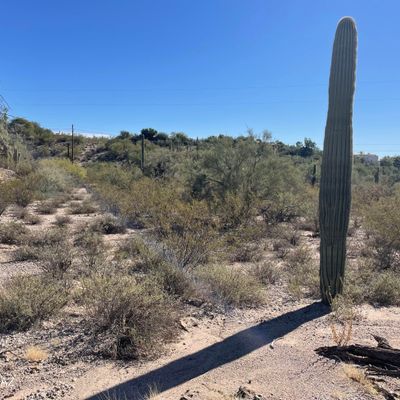 4950 N Calle Colmado (Lot 4), Tucson, AZ 85718