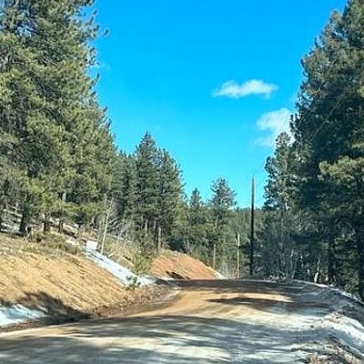 132 Daniel Way, Divide, CO 80814