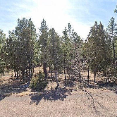 2844 Chandelle Ln, Overgaard, AZ 85933