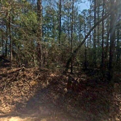 327 Shows Rd, Richton, MS 39476