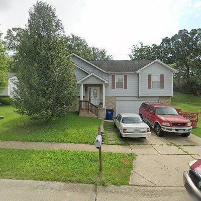 1136 Valentine St, Festus, MO 63028