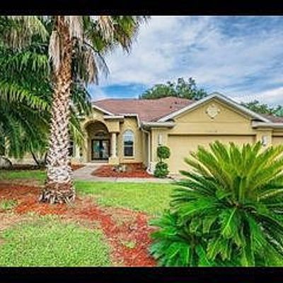 10116 Paddock Oaks Dr, Riverview, FL 33569