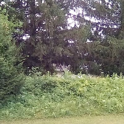 29059 M 60, Mendon, MI 49072