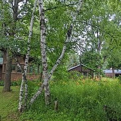 39510 County 17, Browerville, MN 56438