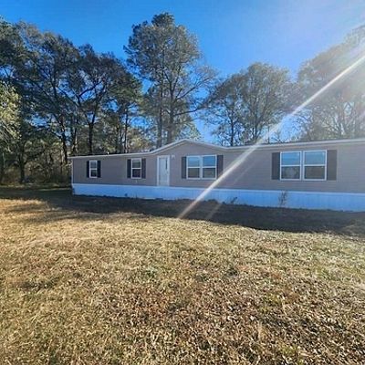 7205 Carey James Rd, Manor, GA 31550