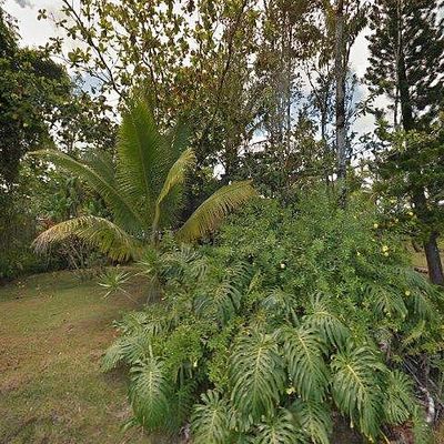 16 2062 Hapuu Dr, Pahoa, HI 96778