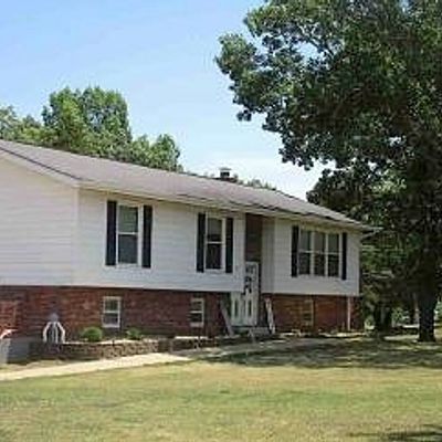 800 Cottage Rd, Bonne Terre, MO 63628