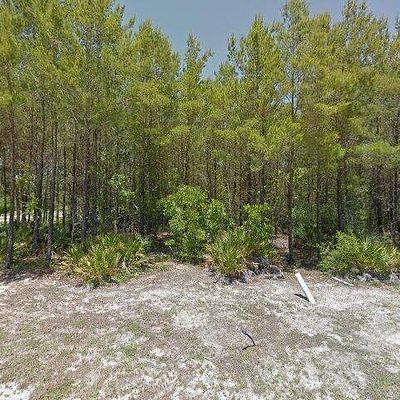 25 Leap Year Ln, Freeport, FL 32439