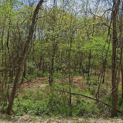 593 Peck Hollow Rd, Rogersville, MO 65742