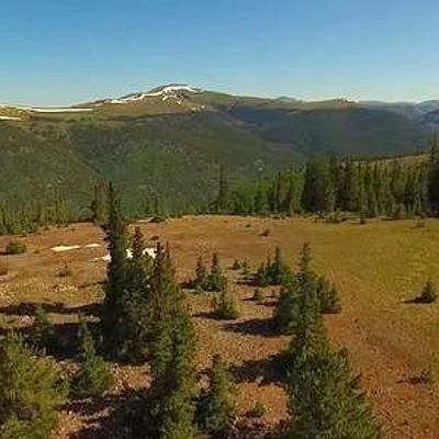 000 Lake County Road 3 A, Leadville, CO 80461