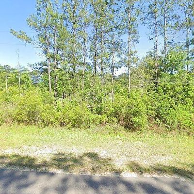 4735 Cattail St, Middleburg, FL 32068