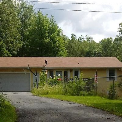 5651 Ivan Rd, Saranac, MI 48881