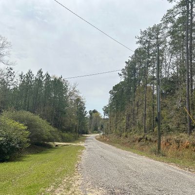 75 L G Collins Rd, State Line, MS 39362