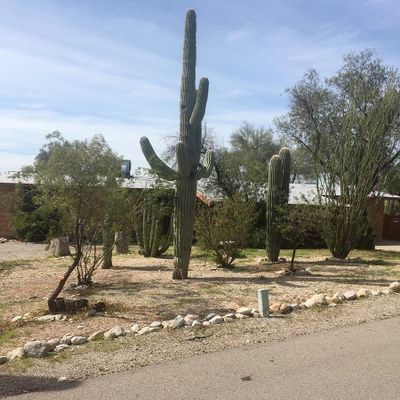 4635 N Calle Desecada, Tucson, AZ 85718