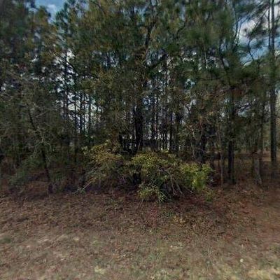 6790 N Damascus Ave, Dunnellon, FL 34433