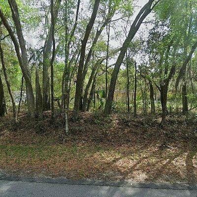 225 Carlisle Rd, Pierson, FL 32180