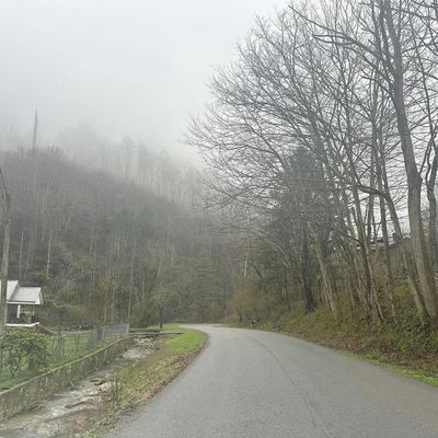 7381 Dry Fork Rd, North Tazewell, VA 24630