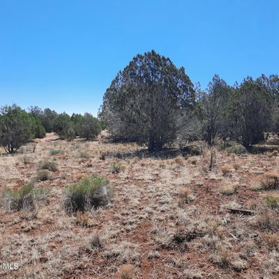 30116003j Unnamed Rd, Seligman, AZ 86337