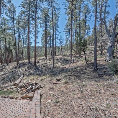 9167 W Circle Dr, Pine, AZ 85544