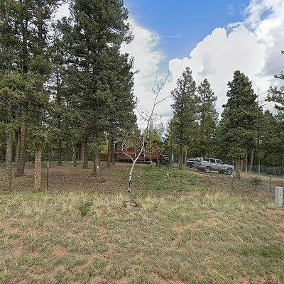 1307 County Road 512, Divide, CO 80814