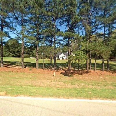 1317 Pet Sites Rd, Chapin, SC 29036