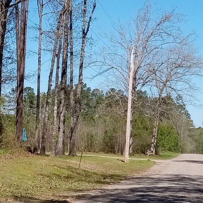 3100 Reynolds Rd, Redfield, AR 72132