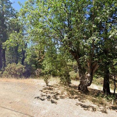 52547 Pine Cove Rd, Idyllwild, CA 92549