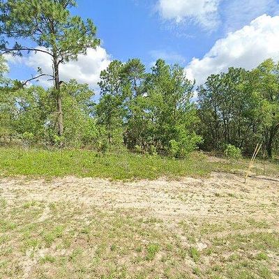 16245 Se 113 Th Street Rd, Ocklawaha, FL 32179