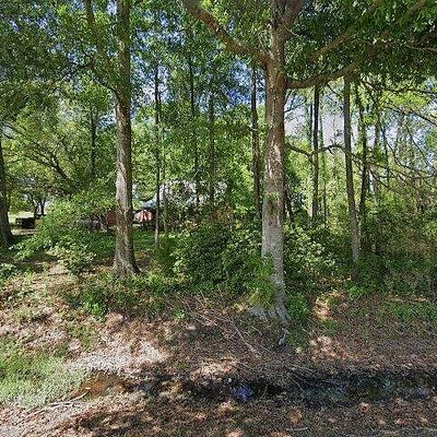 316 Clarence Jones Rd, Moultrie, GA 31768