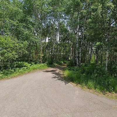 63 Birch Dr, Esko, MN 55733