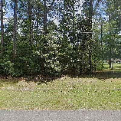 854 Harry Sones Rd, Carriere, MS 39426
