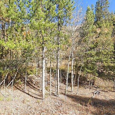 10361 E State Highway 82, Twin Lakes, CO 81251