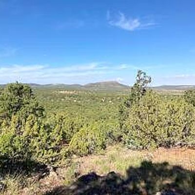 162 County Rd 3109, Vernon, AZ 85940