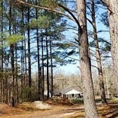 297 Gallashaw Rd, Summerville, SC 29483